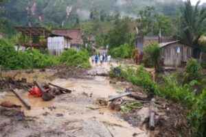 Especialistas en ecología han alertado sobre las consecuencias que las intensas lluvias en la región