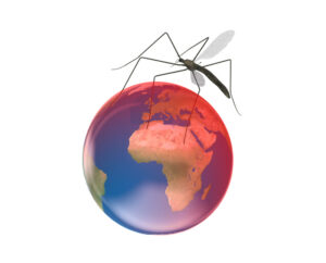 Calentamiento global empeora dengue