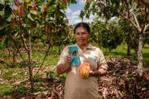 Camisea y la comunidad nativa Kirigueti desarrollan proyecto de cultivo de cacao