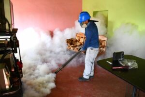 Minsa anuncia emergencia en 20 regiones del Perú por aumento de casos de dengue