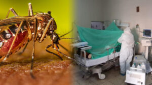 Minsa reporta más de 900 nuevos casos de dengue: Ya son 71,000 afectados en todo el Perú