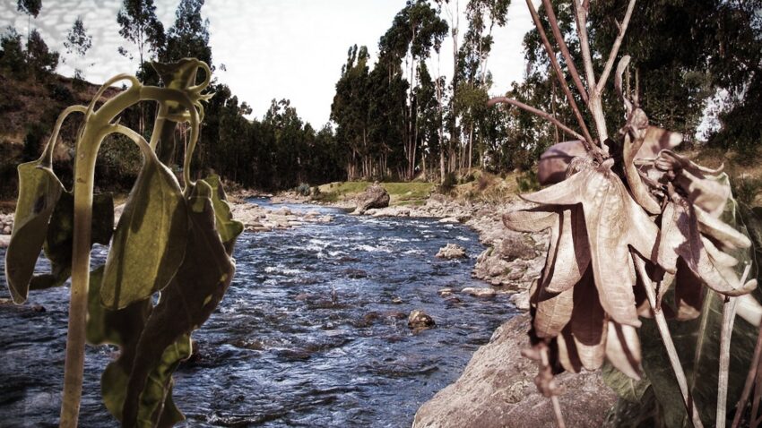 Cambio climático: Así afectará la escasez de agua a la producción de alimentos en las regiones