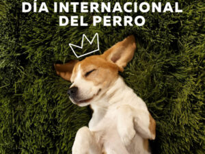 Día Mundial del Perro