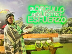 Cacao ecológico de comunidad nativa de Kirigueti del Bajo Urubamba destaca en feria internacional de Lima
