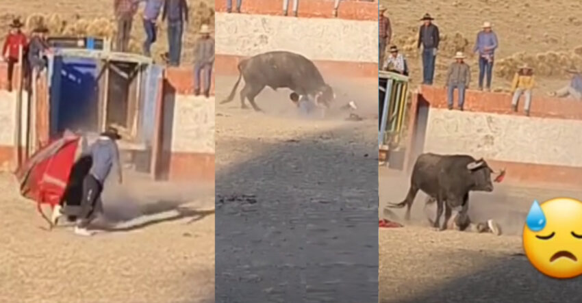 Chumbivilcas: Joven muere en corrida de toros de comunidad Pataqueña en Livitaca