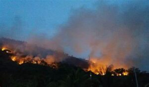Incendio forestal en el Vraem