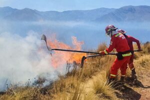 Cusco l Aumentan los incendios forestales en agosto por fuertes vientos y sequía