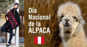 Cada 1 de agosto se conmemora el Día Nacional de la Alpaca