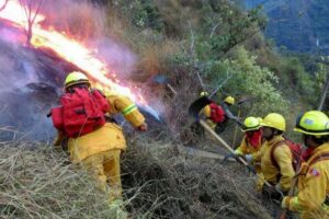 Incendio forestal amenaza el Santuario Histórico de Machupicchu