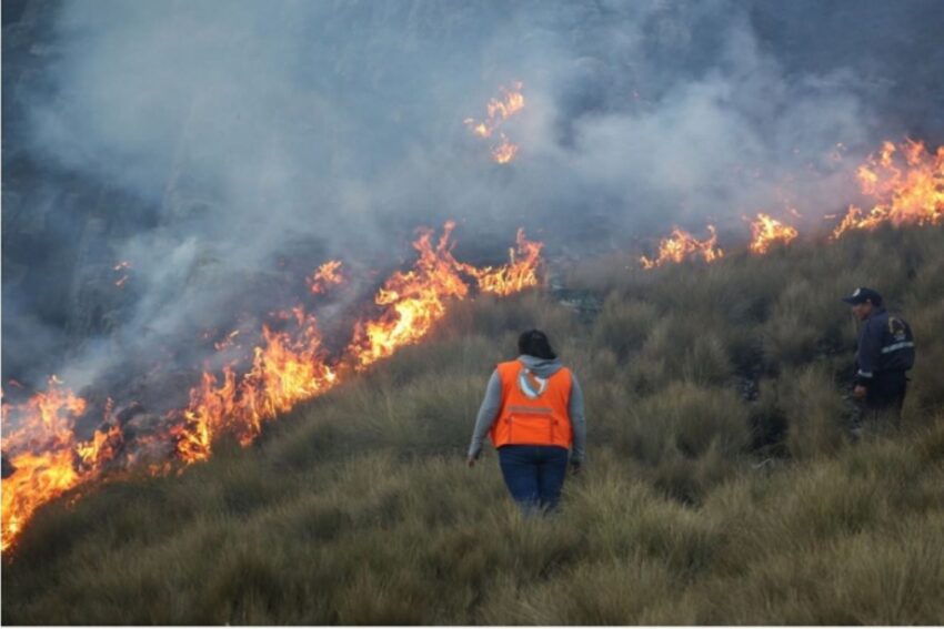 Más de 500 incendios forestales se han registrado en Perú durante 2023