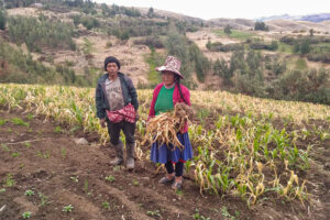 Fenómeno del Niño se sentirá en la región del Cusco desde diciembre