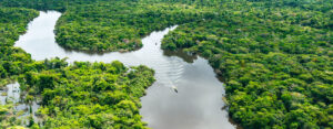 Manu: la combinación de sierra y selva crea un maravilloso parque nacional