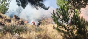 Incendio forestal en Marangani afectó 10 hectáreas de árboles y plantas silvestres