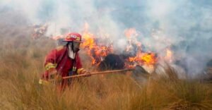 Solo dos municipalidades de Cusco tienen plan de contingencia contra incendios