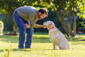 Día del perro: 5 consejos para cuidar a tu mascota