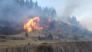 Cusco: Machu Picchu, Ccapi y Layo enfrentan incendios forestales