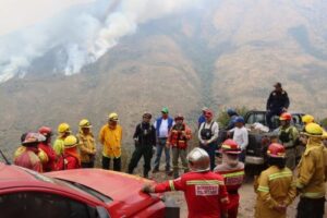 Cusco: 31 incendios forestales registrados en lo que va del 2024