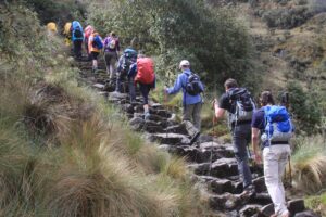 Red de Caminos Inka cierra del 01 al 28 de febrero por trabajos de conservación en Machupicchu