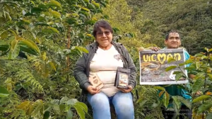 Emprendedores de Tunkimayo amplían su producción de café y cacao en Cusco.