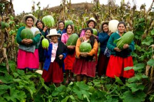 Beneficios tributarios para cooperativas agrarias impulsan el desarrollo rural.