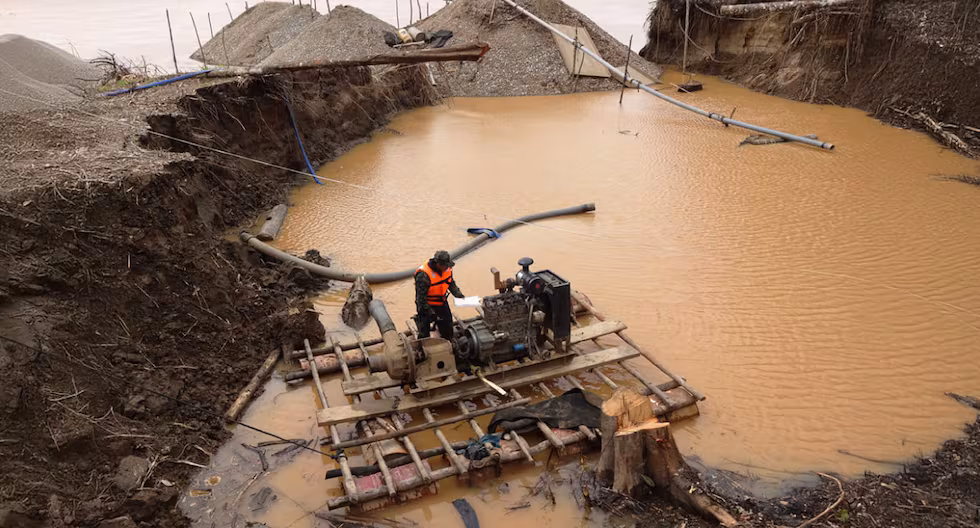 Organismos internacionales advierten efectos devastadores de minería ilegal noticias cusco post