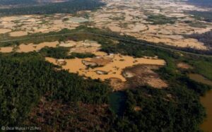 Gobierno del Perú no conoce ni sabe cómo enfrentar la minería ilegal