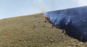 Cusco: 54 incendios forestales arrasan con más de 770 hectáreas en lo que va del 2025