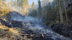 Cuatro incendios forestales en Cusco arrasan cobertura vegetal