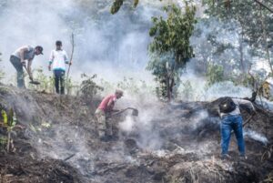 Agricultores de La Convención solicitan reuniones para prevenir incendios forestales