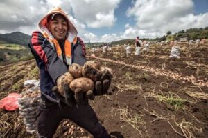 Tercera parte de la población económicamente activa se dedica a actividades agrarias en el Perú