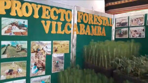 Vilcabamba: Invierten más de S/7 millones en proyecto forestal para recuperar 320 hectáreas