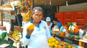 Quellouno: Fruticultores se preparan para llevar su producción a mercados internacionales