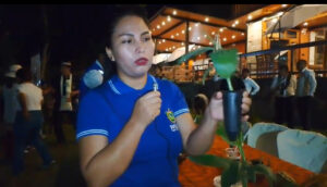 Pichari impulsa la producción de plátano con laboratorio in vitro que genera más de 80 mil plantas libres de plagas