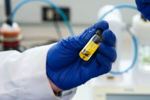 Camelina: la planta que SKY impulsa para volar con combustible sostenible