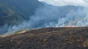 Incendios, Cusco, Pillpinto, Chamaca, Chumbivilcas, Paruro, Incendios Forestales, Pirómanos, Brigadas, Medio Ambiente.