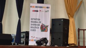 La Convención socializó la Estrategia Regional frente al cambio climático al 2050