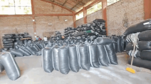 Cooperativa Cacao Vrae fortalece su infraestructura para ampliar capacidad de acopio y exportación