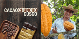 La joya escondida de Cusco: el cacao chuncho de La Convención