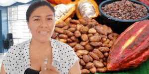 Productoras de cacao enfrentan reto de acceder a financiamiento para fortalecer sus negocios