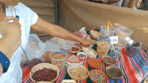 Productora de Quellouno conserva semillas de granos y legumbres tradicionales