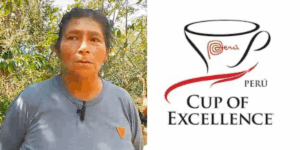 Caficultores de Cusco buscan competir en la novena edición de la Taza de Excelencia con sus cultivos de café de especialidad