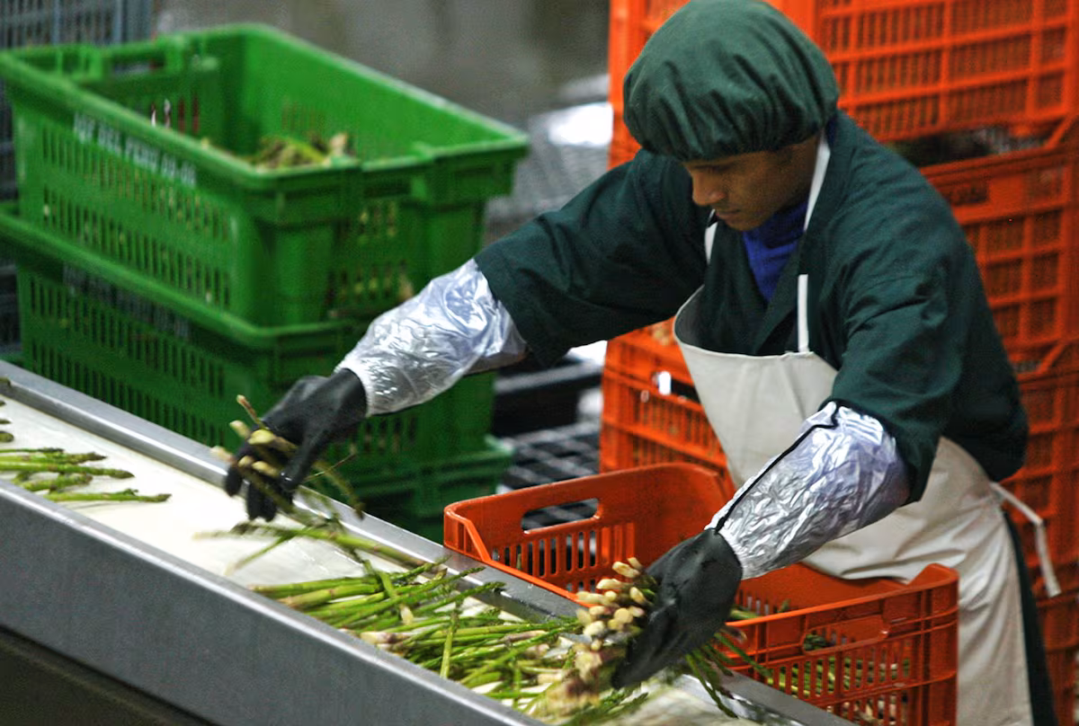 Empleo formal en Perú creció 3.4 % en octubre y se registraron un total de 4.7 millones de trabajadores