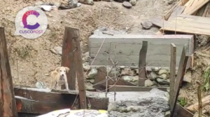 Derrumbes, pérdidas agrícolas y deterioro vial en la selva de Cusco: Agricultores denuncian abandono estatal