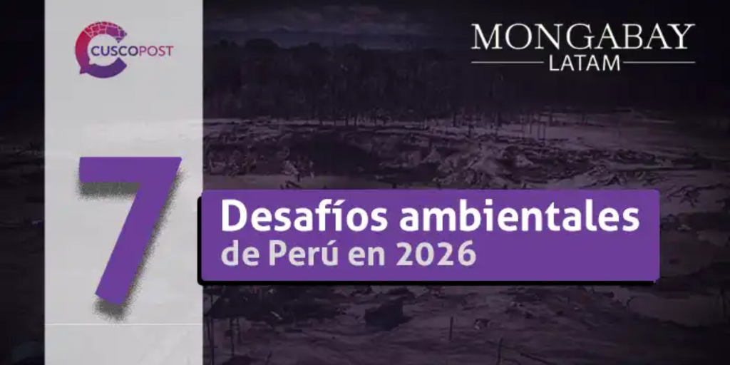 Siete desafíos ambientales para el debate en 2026