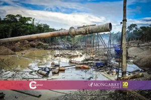 Mongabay Latam - La Pampa - extorsiones - Cusco Post