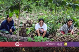 mujeres machiguenga papa ancestral