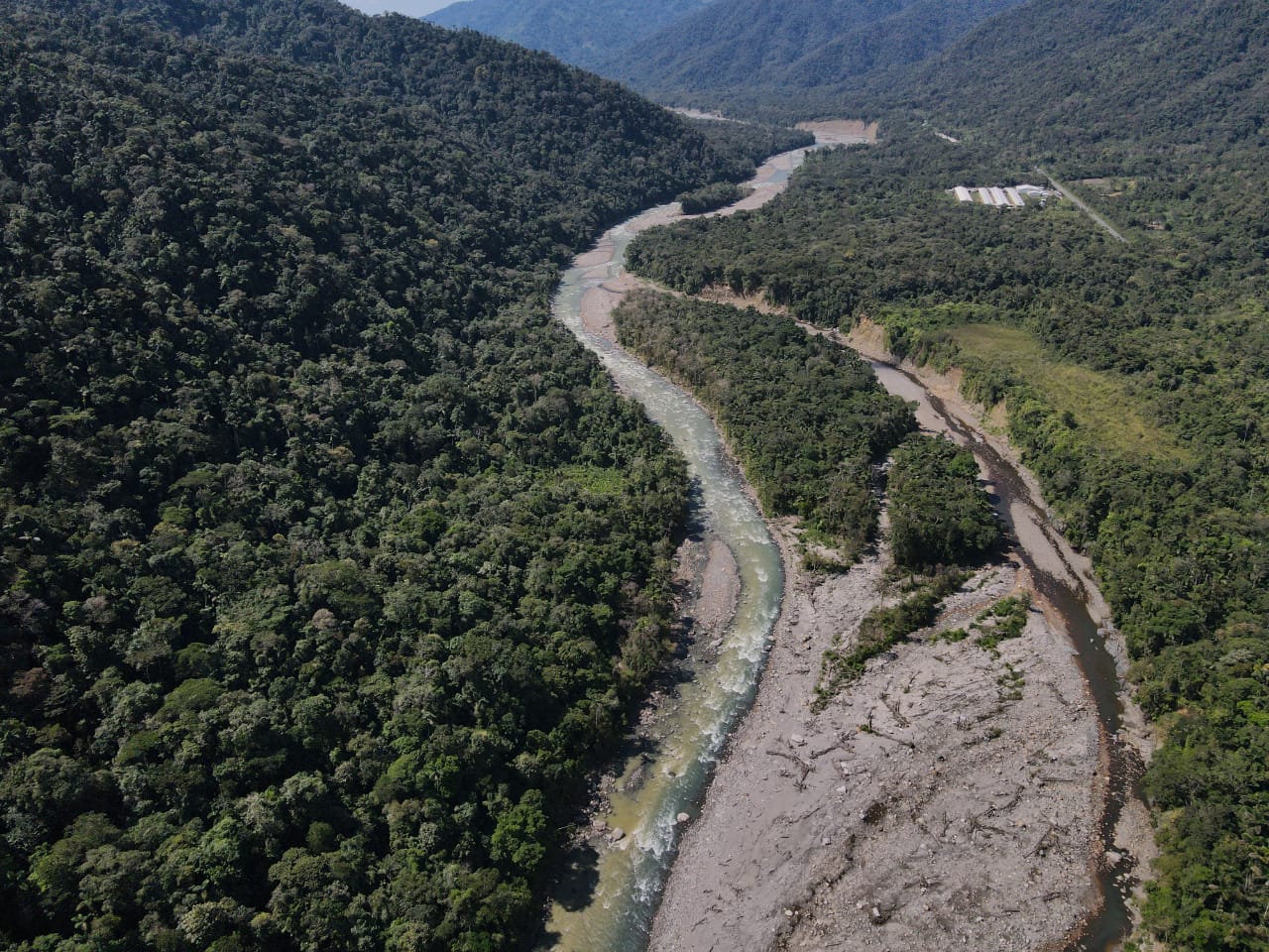 Los bosques del Araza bajo asedio. En el distrito de Camanti, provincia de Quispicanchi, Cusco.