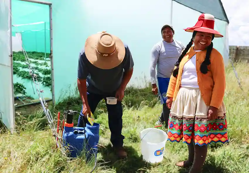 Elsa Merma en labores de coordinación en los viveros de Espínar. Foto: Valeria Cajia - CooperAcción