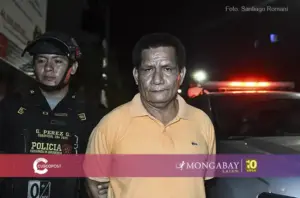 El empresario Hugo Soria Flores tras ser capturado por la Policía Nacional de Perú en Ucayali. Foto: cortesía Santiago Romaní
