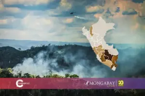 incendios forestales cusco post nacional coen serfor